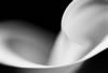 Calla (black & white)